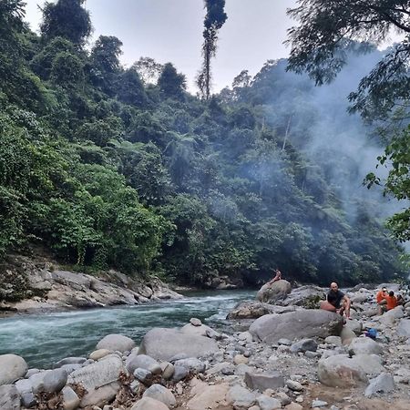 Lucky Bamboo'Bungalows-Resto And Orangutan Jungle Trekking Tours Букит-Лаванг Экстерьер фото