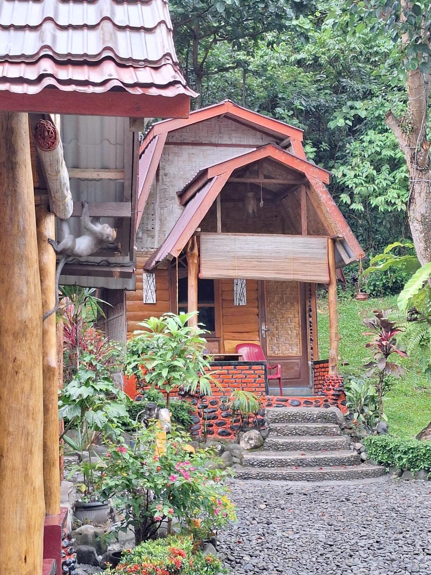 Lucky Bamboo'Bungalows-Resto And Orangutan Jungle Trekking Tours Букит-Лаванг Экстерьер фото